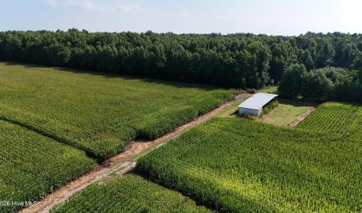Photo #61 of 5200 Kershaw, Oriental, NC 122.8 acres