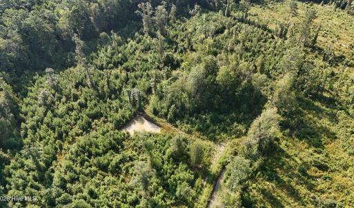Photo #65 of 5200 Kershaw, Oriental, NC 122.8 acres
