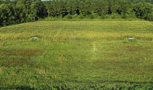Photo #51 of 5200 Kershaw, Oriental, NC 122.8 acres