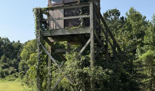 Photo #53 of 5200 Kershaw, Oriental, NC 122.8 acres