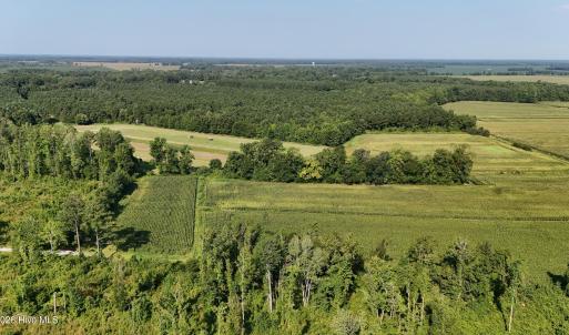Photo #56 of 5200 Kershaw, Oriental, NC 122.8 acres