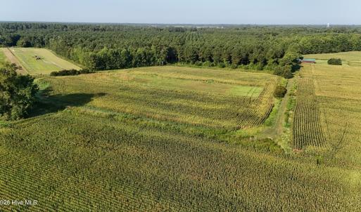 Photo #46 of 5200 Kershaw, Oriental, NC 122.8 acres