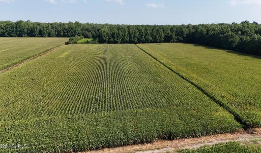 Photo #25 of 5200 Kershaw, Oriental, NC 122.8 acres