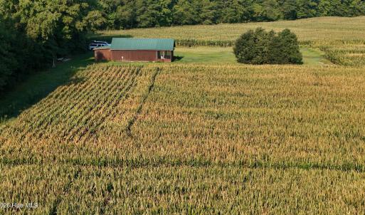 Photo #50 of 5200 Kershaw, Oriental, NC 122.8 acres