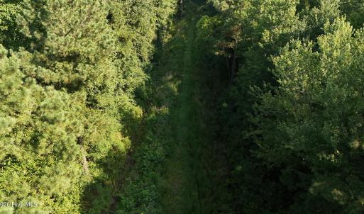 Photo #58 of 5200 Kershaw, Oriental, NC 122.8 acres
