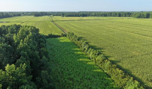 Photo #32 of 5200 Kershaw, Oriental, NC 122.8 acres