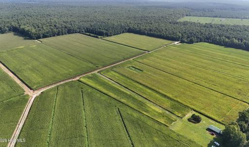 Photo #10 of 5200 Kershaw, Oriental, NC 122.8 acres