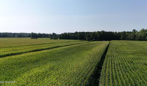 Photo #12 of 5200 Kershaw, Oriental, NC 122.8 acres