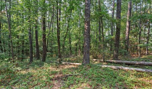 Photo #8 of 312 Melanie, McCormick, SC 0.3 acres