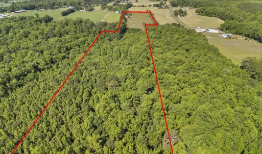 Photo #17 of 127 Nicodemus Kornegay, Albertson, NC 23.1 acres