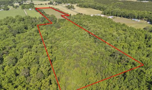 Photo #2 of 127 Nicodemus Kornegay, Albertson, NC 23.1 acres