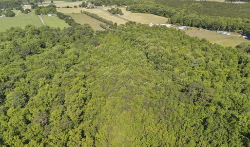 Photo #16 of 127 Nicodemus Kornegay, Albertson, NC 23.1 acres