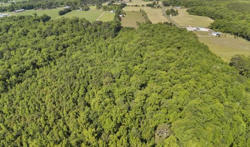 Photo #18 of 127 Nicodemus Kornegay, Albertson, NC 23.1 acres