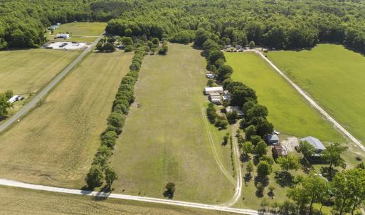 Photo #12 of 127 Nicodemus Kornegay, Albertson, NC 23.1 acres