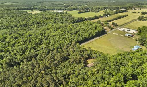 Photo #20 of 127 Nicodemus Kornegay, Albertson, NC 23.1 acres