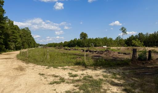 Photo #18 of 2310 Devils Racetrack, Four Oaks, NC 99.6 acres