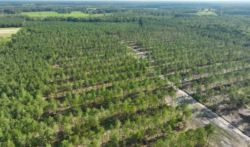 Photo #43 of 2310 Devils Racetrack, Four Oaks, NC 99.6 acres