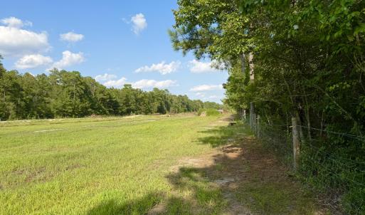 Photo #21 of 2310 Devils Racetrack, Four Oaks, NC 99.6 acres