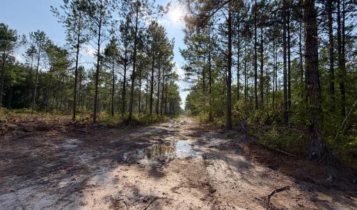 Photo #20 of 2310 Devils Racetrack, Four Oaks, NC 99.6 acres