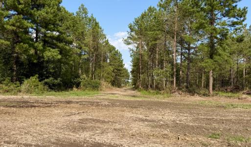 Photo #17 of 2310 Devils Racetrack, Four Oaks, NC 99.6 acres