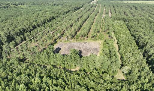 Photo #52 of 2310 Devils Racetrack, Four Oaks, NC 99.6 acres