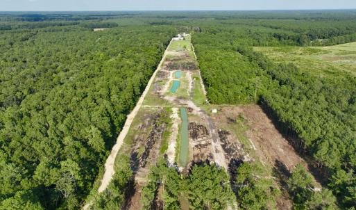 Photo #58 of 2310 Devils Racetrack, Four Oaks, NC 99.6 acres