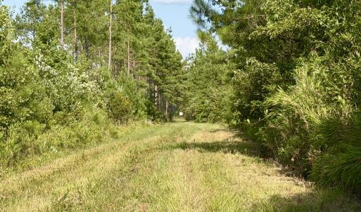 Photo #8 of 2310 Devils Racetrack, Four Oaks, NC 99.6 acres
