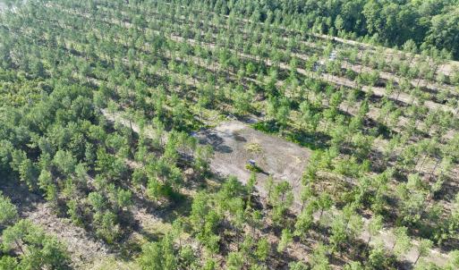 Photo #49 of 2310 Devils Racetrack, Four Oaks, NC 99.6 acres