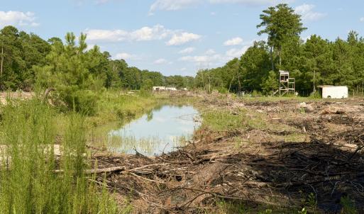 Photo #19 of 2310 Devils Racetrack, Four Oaks, NC 99.6 acres