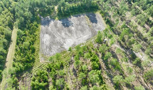 Photo #51 of 2310 Devils Racetrack, Four Oaks, NC 99.6 acres