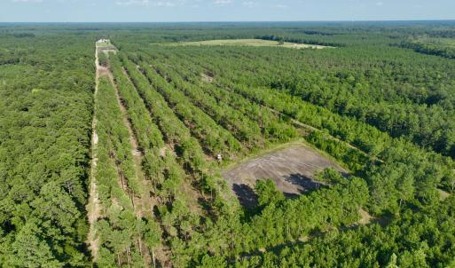 Photo #54 of 2310 Devils Racetrack, Four Oaks, NC 99.6 acres