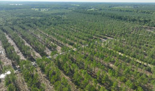 Photo #44 of 2310 Devils Racetrack, Four Oaks, NC 99.6 acres