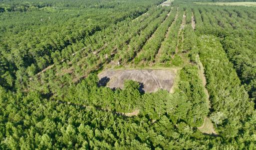 Photo #53 of 2310 Devils Racetrack, Four Oaks, NC 99.6 acres