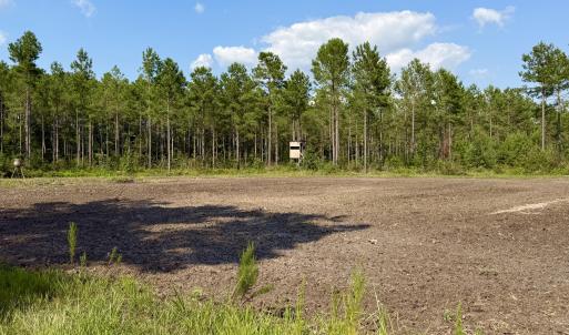 Photo #3 of 2310 Devils Racetrack, Four Oaks, NC 99.6 acres