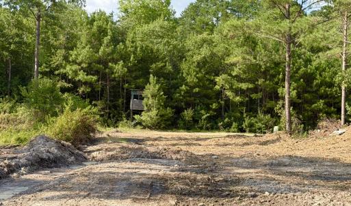 Photo #16 of 2310 Devils Racetrack, Four Oaks, NC 99.6 acres