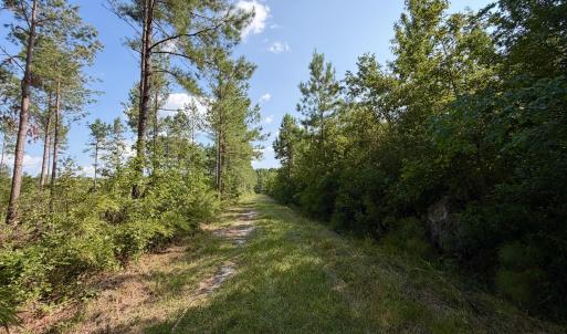 Photo #7 of 2310 Devils Racetrack, Four Oaks, NC 99.6 acres