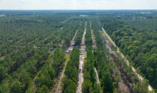 Photo #40 of 2310 Devils Racetrack, Four Oaks, NC 99.6 acres