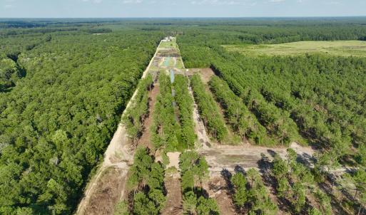 Photo #57 of 2310 Devils Racetrack, Four Oaks, NC 99.6 acres