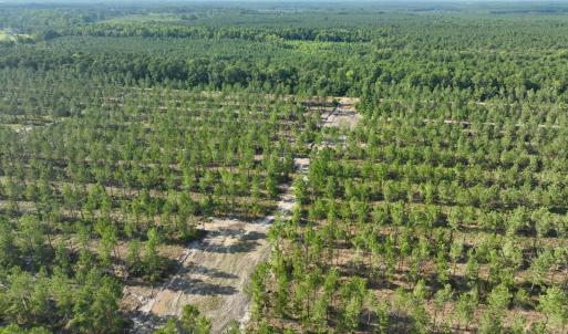 Photo #46 of 2310 Devils Racetrack, Four Oaks, NC 99.6 acres