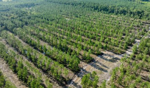 Photo #47 of 2310 Devils Racetrack, Four Oaks, NC 99.6 acres