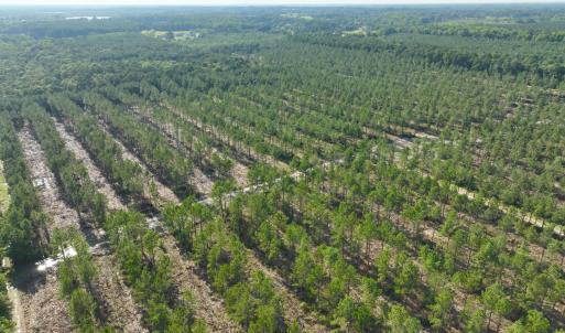 Photo #45 of 2310 Devils Racetrack, Four Oaks, NC 99.6 acres
