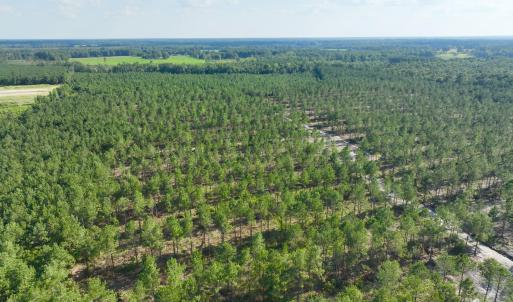 Photo #41 of 2310 Devils Racetrack, Four Oaks, NC 99.6 acres
