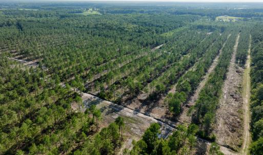 Photo #42 of 2310 Devils Racetrack, Four Oaks, NC 99.6 acres