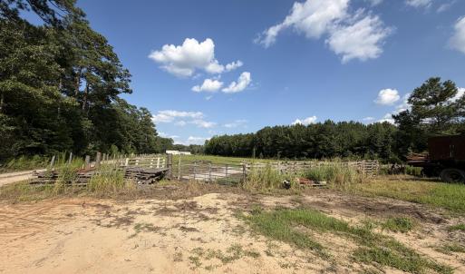 Photo #26 of 2310 Devils Racetrack, Four Oaks, NC 99.6 acres