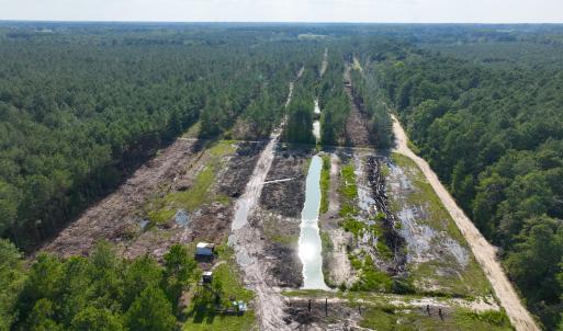 Photo #38 of 2310 Devils Racetrack, Four Oaks, NC 99.6 acres