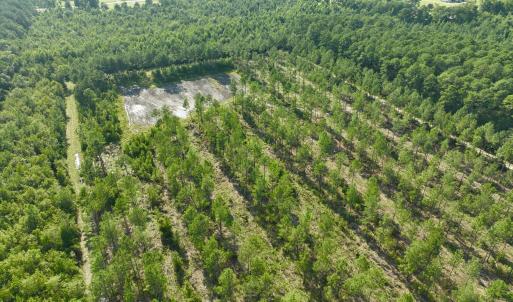 Photo #50 of 2310 Devils Racetrack, Four Oaks, NC 99.6 acres