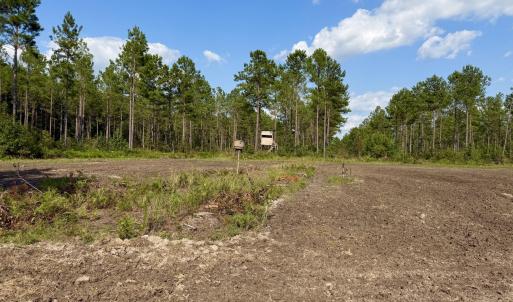 Photo #4 of 2310 Devils Racetrack, Four Oaks, NC 99.6 acres