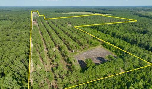 Photo #2 of 2310 Devils Racetrack, Four Oaks, NC 99.6 acres