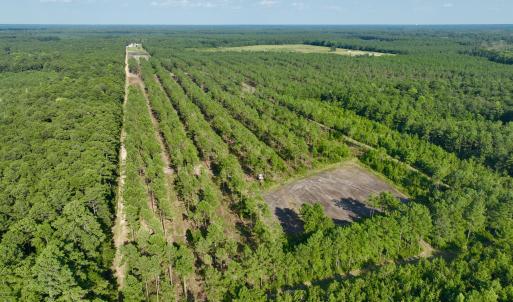 Photo #55 of 2310 Devils Racetrack, Four Oaks, NC 99.6 acres