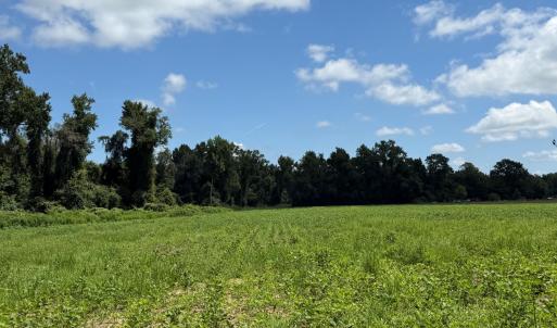 Photo #1 of 6514 Princess Ann, Evergreen, NC 19.6 acres